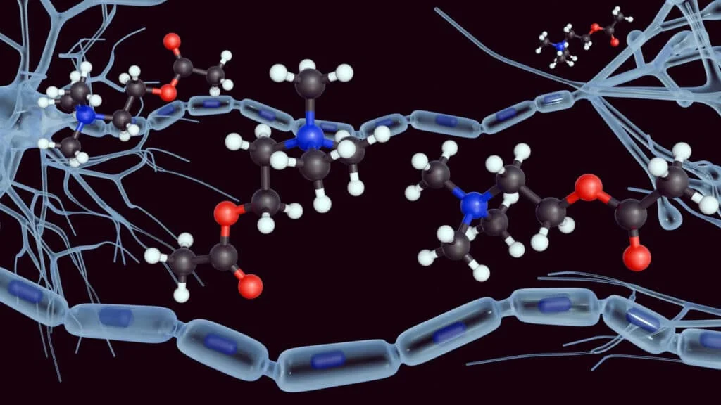 Understanding Choline: Essential Nutrient for Health and How to Ensure Adequate Intake