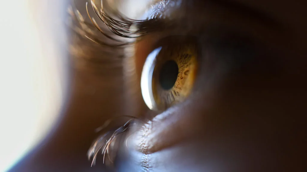 Exploring Potential of Cellular Reprogramming Drug in Glaucoma Treatment