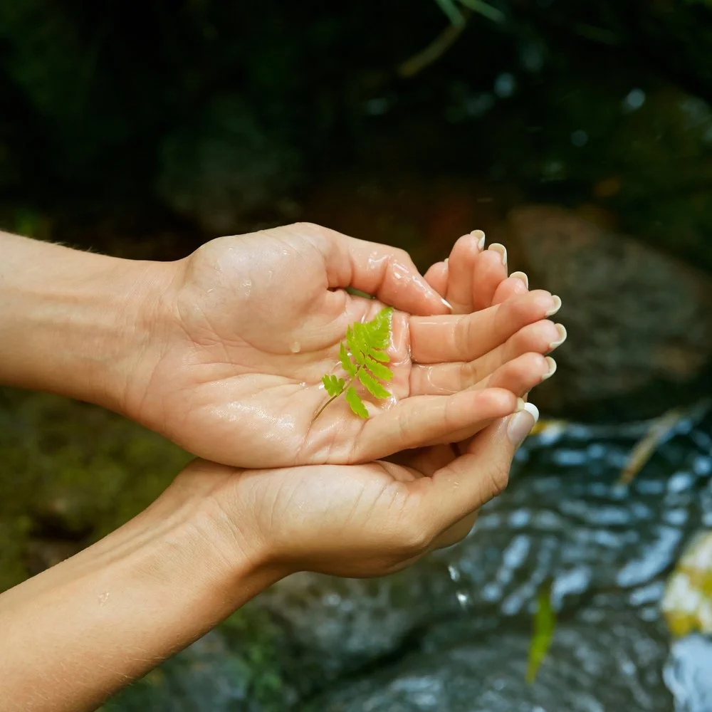 Nurturing Relationships