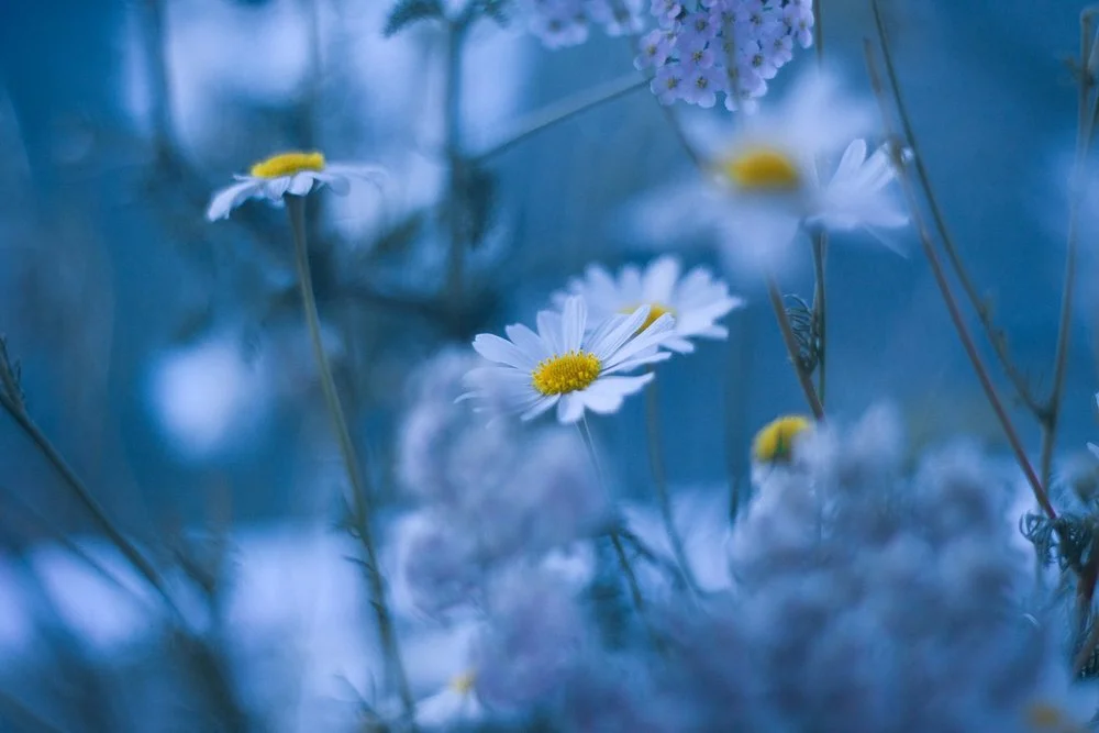 Honoring Pregnancy and Infant Loss Awareness Month: 19 Thoughtful Ways to Show Support