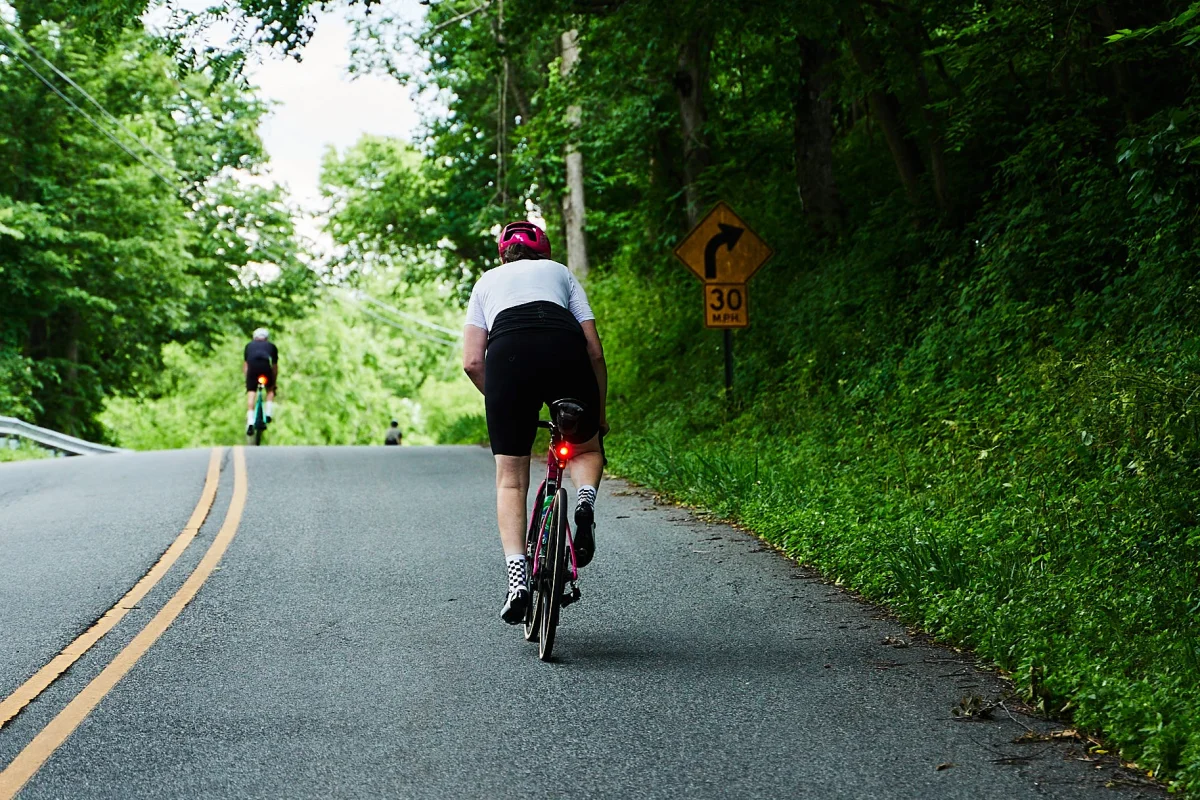 Cyclists riding uphill on a tree-lined country road. Cyclists riding uphill on a tree-lined country road.